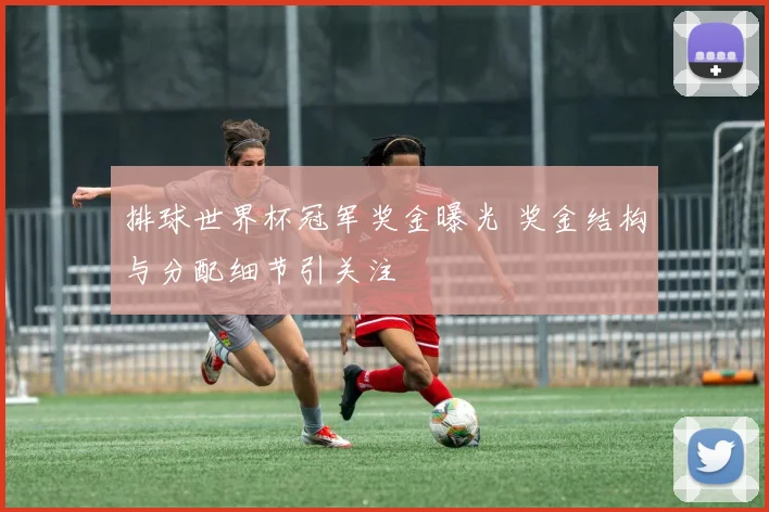 排球世界杯冠军奖金曝光 奖金结构与分配细节引关注