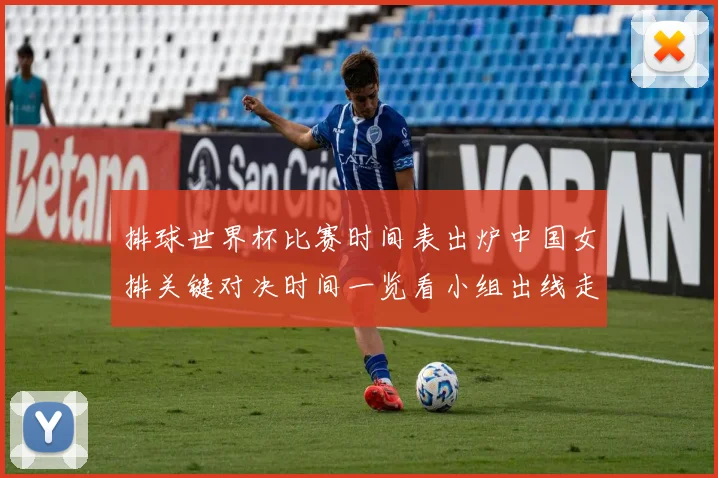 排球世界杯比赛时间表出炉中国女排关键对决时间一览看小组出线走势