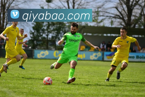 开云kaiyun入口平台生态图