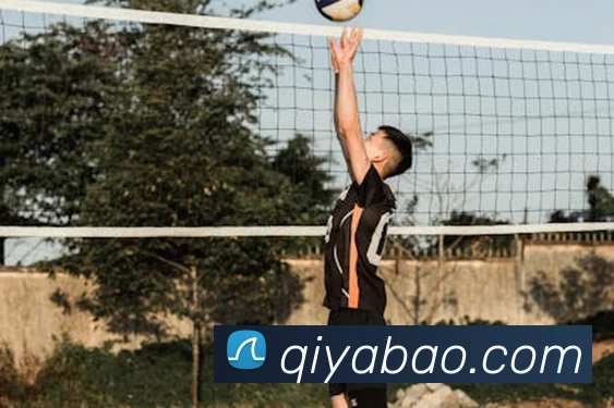 开云kaiyun入口APP 封面图